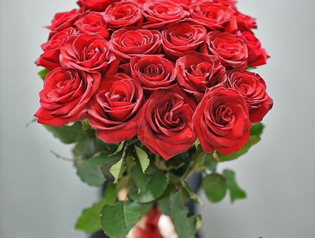 15 Red Dutch Roses, 60-70 cm photo